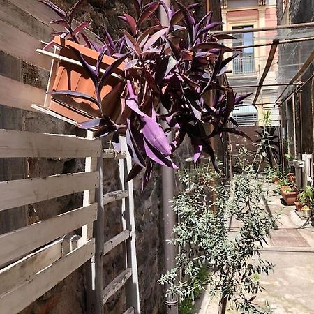 Suite Vicolo Lavico Catania Exterior photo