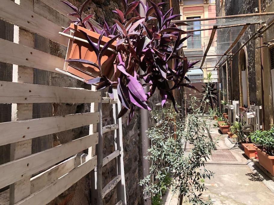 Suite Vicolo Lavico Catania Exterior photo