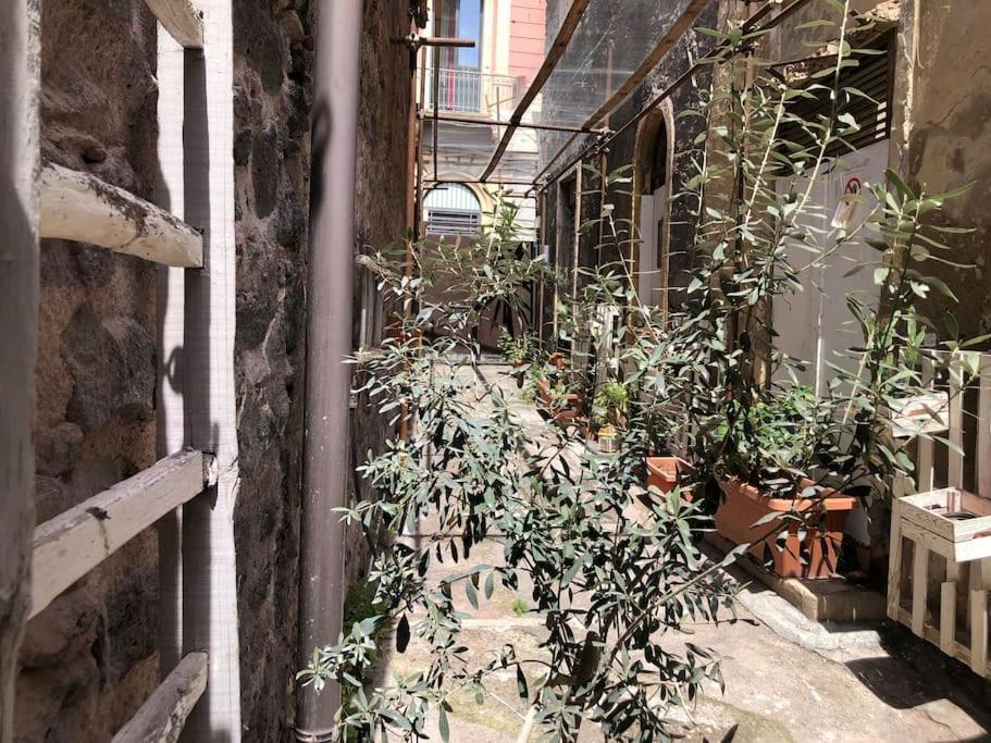Suite Vicolo Lavico Catania Exterior photo